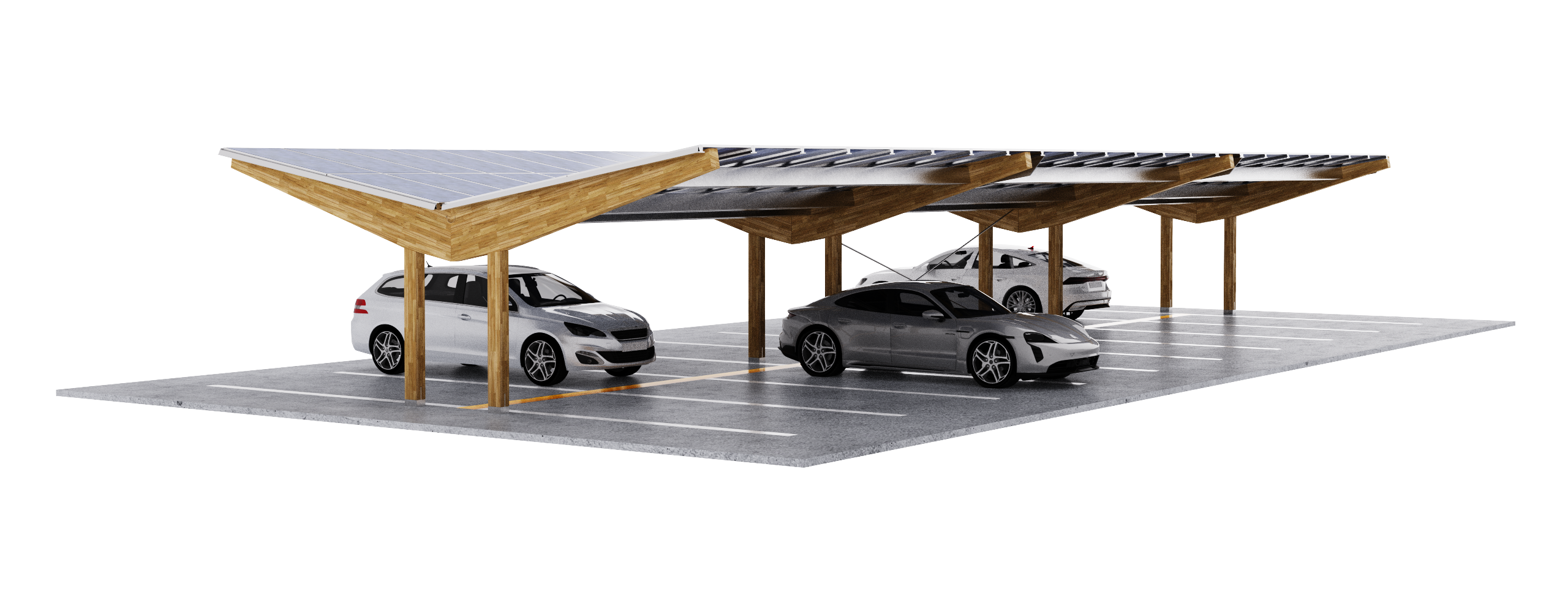 BION Wood Solar Carport